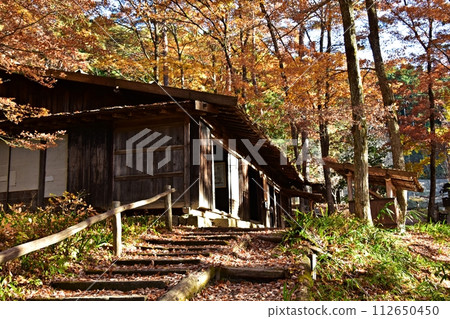 飛驒村的古民居在紅葉盛時改變了運氣 112650450