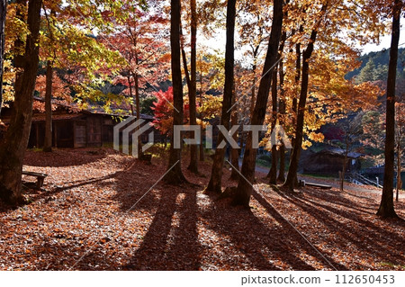 飛驒村的古民居在紅葉盛時改變了運氣 112650453
