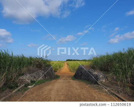 Roads around Ndokubiabu (Okinawa Prefecture, Miyakojima City, Irabu) 2 Roads around Ndokubiabu (Okinawa Prefecture, Miyakojima City, Irabu) 2 112650619