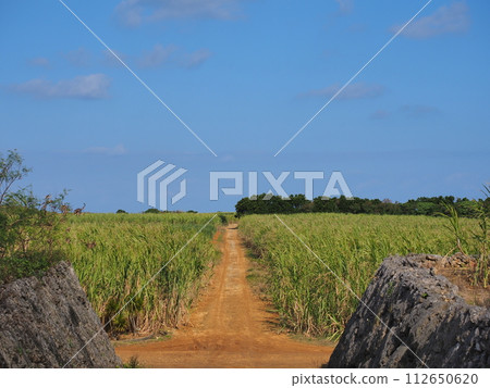Roads around Ndokubiabu (Okinawa Prefecture, Miyakojima City, Irabu) Roads around Ndokubiabu (Okinawa Prefecture, Miyakojima City, Irabu) 112650620