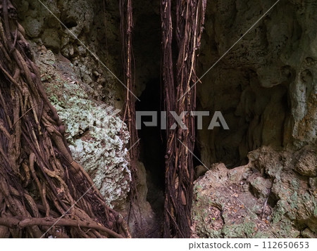 Entrance to the inner cave of Ndokubiabu (Okinawa Prefecture, Miyakojima City, Irabu) 2 112650653