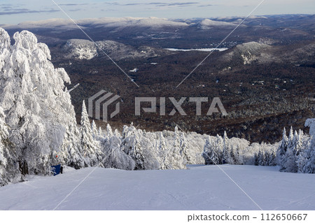 Mont Tremblant Winter Wonderland Majesty: A Sweeping View of Snow-Laden Pines and Ski Trails, Offering a Perfect Winter Escape. Laurentians, Quebec, Canada Mont Tremblant Winter Wonderland Majesty: A Sweeping View of Snow-Laden Pines and Ski Trails, Offering a Perfect Winter Escape. Laurentians, Quebec, Canada 112650667
