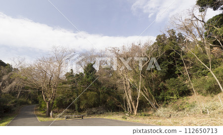 A landscape with Susuki 112650713