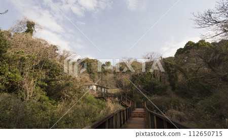 A landscape with Susuki 112650715