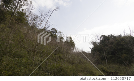 A landscape with Susuki 112650717