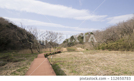 A landscape with Susuki A landscape with Susuki 112650783