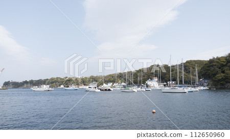 The quiet scenery of Koajiro Bay The quiet scenery of Koajiro Bay 112650960
