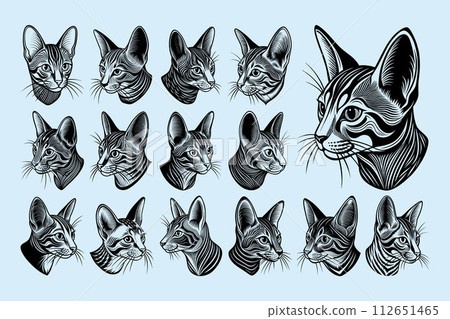 Detailed side chausie cat head illustration design bundle 112651465