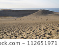 Tottori sand dunes 112651971