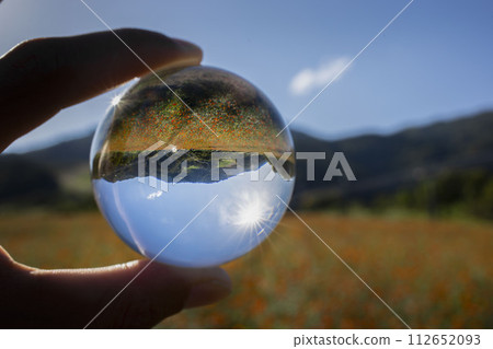 Cosmos reflected in a glass ball 112652093