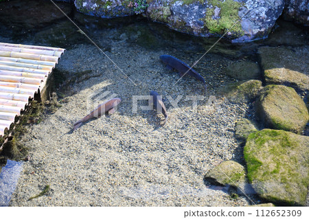 Harie raw water village Harie raw water village 112652309