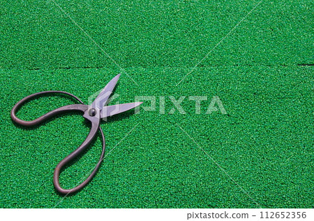 Pruning scissors Pruning scissors 112652356
