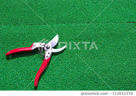 Pruning scissors Pruning scissors 112652359