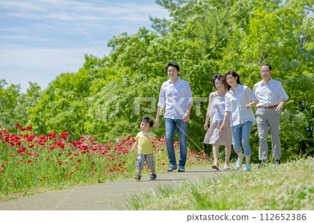 A three-generation family walking through a poppy-filled park 112652386