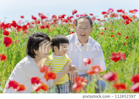 Grandparents playing with their grandchildren in a poppy-filled park 112652397