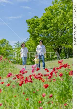 A family of three walking through a park filled with poppies 112652399