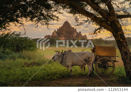 Bullock cart in Bagan, Myanmar. Bullock cart in Bagan, Myanmar. 112653144
