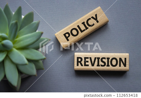 Policy revision symbol. Concept word Policy revision on wooden blocks. Beautiful grey background with succulent plant. Business and Policy revision concept. Copy space Policy revision symbol. Concept word Policy revision on wooden blocks. Beautiful grey background with succulent plant. Business and Policy revision concept. Copy space 112653418