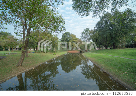 Tree in plantation with lake or river. Way through garden park in summer season. Nature landscape background. Tree in plantation with lake or river. Way through garden park in summer season. Nature landscape background. 112653553