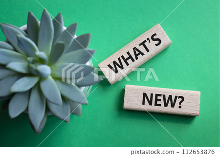 What is new symbol. Concept word What is new on wooden blocks. Beautiful green background with succulent plant. Business and What is new concept. Copy space 112653876
