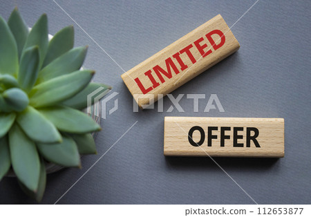 Limited Offer symbol. Concept word Limited Offer on wooden blocks. Beautiful grey background with succulent plant. Business and Limited Offer concept. Copy space 112653877