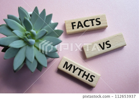 Facts vs Myths symbol. Wooden blocks with words Facts vs Myths. Beautiful pink background with succulent plant. Business and Facts vs Myths concept. Copy space. 112653937
