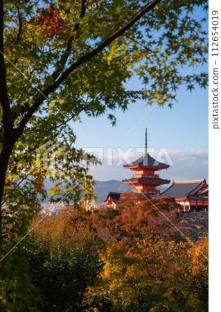Kiyomizu Dera Pagoda Temple with red maple leaves or fall foliage in autumn season. Colorful trees, Kyoto, Japan. Nature and architecture landscape background. Kiyomizu Dera Pagoda Temple with red maple leaves or fall foliage in autumn season. Colorful trees, Kyoto, Japan. Nature and architecture landscape background. 112654019