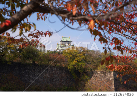 Osaka Castle building with colorful maple leaves or fall foliage in autumn season. Colorful trees, Osaka City, Japan. Architecture landscape background. Famous tourist attraction. 112654026