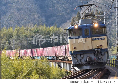 EE64 hauled freight train running across the 3rd Takahashi River Bridge on the Hakubi Line over the Chugoku Mountains 112654417