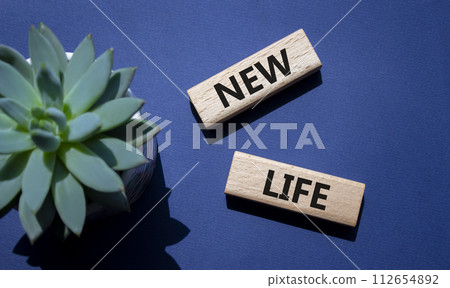 New life symbol. Wooden blocks with words New life. Beautiful deep blue background with succulent plant. Business and New life concept. Copy space. New life symbol. Wooden blocks with words New life. Beautiful deep blue background with succulent plant. Business and New life concept. Copy space. 112654892