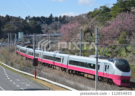 Kairakuen Cherry Blossoms and Revival Color E657 Series Limited Express Train (Scarlet Blossom Color) 112654933