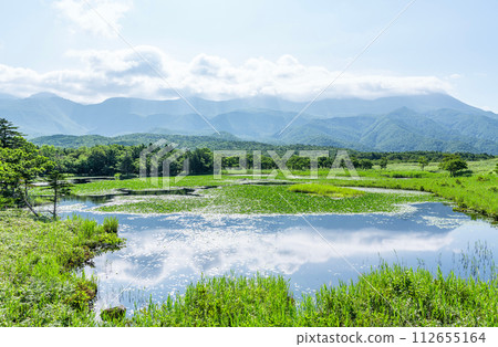 北海道斜裡町世界自然遺產知床夏季風景（知床五湖各湖及週邊景色） 112655164