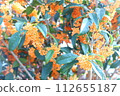 橘色的桂花 112655187