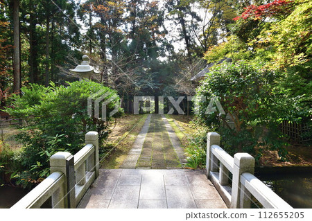 Kokujoji Temple autumn leaves (Niigata Prefecture) 112655205