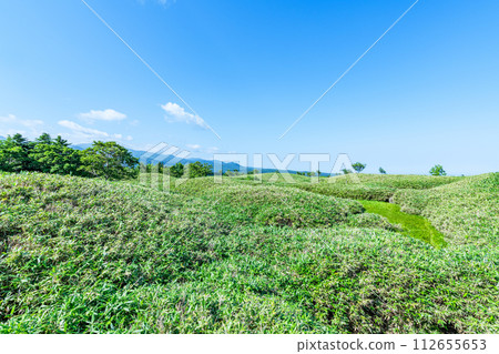 Beautiful green summer scenery of Shiretoko National Park in Shari Town, Hokkaido 112655653