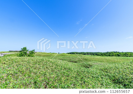 Beautiful green summer scenery of Shiretoko National Park in Shari Town, Hokkaido 112655657