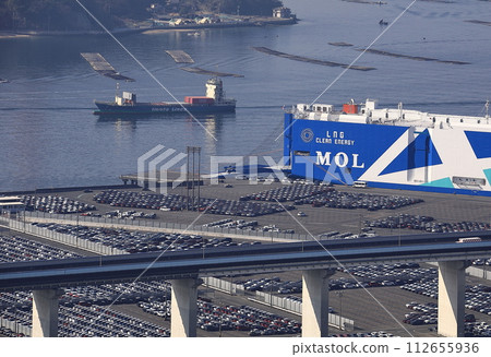 Vehicle carrier 112655936