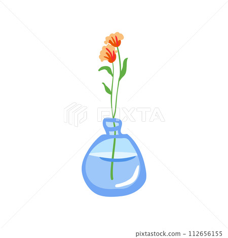 Fresh flower in glass vase. Fragile delicate stems in water. Cut floral plant. Gentle spring blooms, blossomed summer wildflower bouquet isolated on white background. Flat vector illustration 112656155