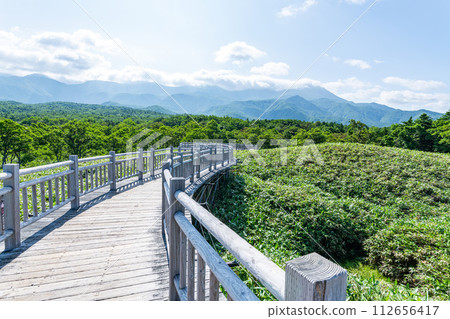 Shari Town, Hokkaido Summer landscape of Shiretoko National Park and elevated boardwalk Shari Town, Hokkaido Summer landscape of Shiretoko National Park and elevated boardwalk 112656417