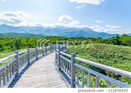 北海道斜裡鎮知床國家公園夏季景觀與高架木板路 112656420