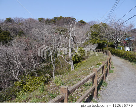 高地住宅道路、淨妙寺綠地(關東富士百景) 高地住宅道路、淨妙寺綠地(關東富士百景) 112656779