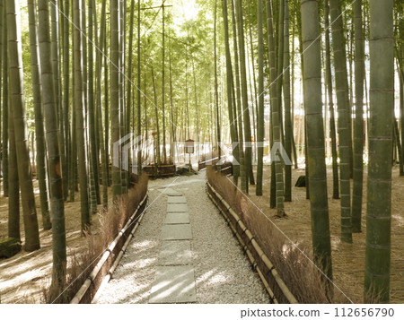 Jogoksa temple bamboo garden Jogoksa temple bamboo garden 112656790