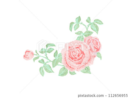 復古水彩風格的紅玫瑰花 112656955