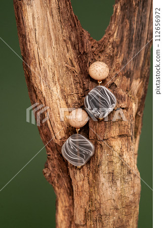 Stylish earrings on wooden branch over beige background. Jewelry fashion photography concept. studio shot 112656972