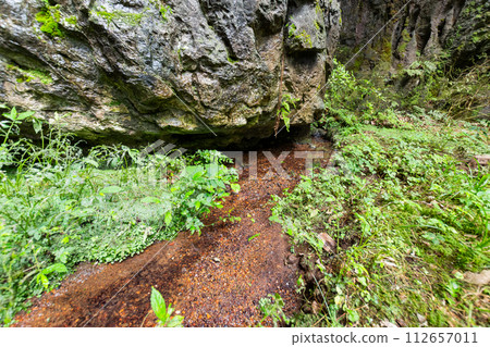 Clear stream flowing from Oni-no-Iwaya 112657011
