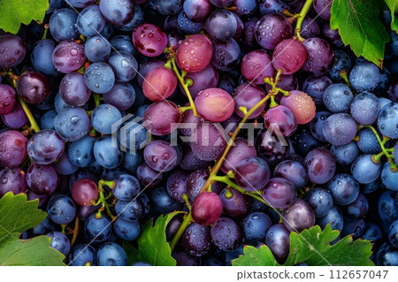 Fresh Fruit background from top view 112657047