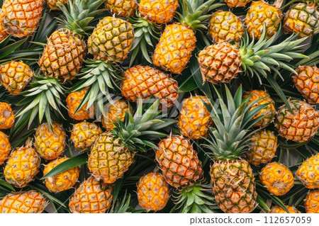 Fresh Fruit background from top view 112657059