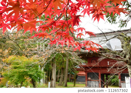 Ohoji Temple in autumn leaves (Niigata Prefecture) 112657302