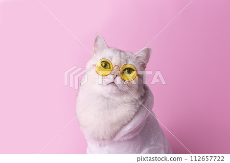 Close up of white cat in yellow glasses is sitting in a white bathrobe, on a pink background 112657722