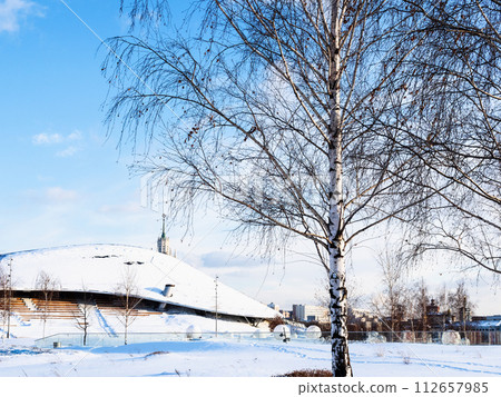 bare birch tree in snow-covered city public park 112657985